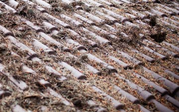 Pennard roof cleaning companies