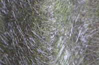 Pennard fibreglass roof work